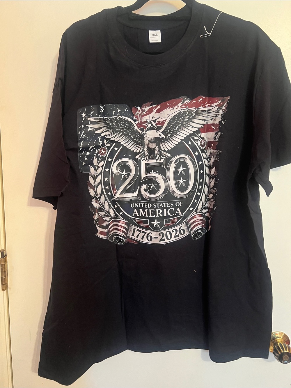 250th United States of America Graphic Tee - Black